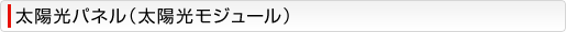 ۸ѥͥ۸⥸塼
