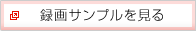 Ͽ襵ץ򸫤